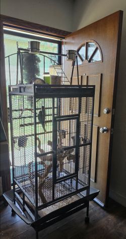 Bird cage $55