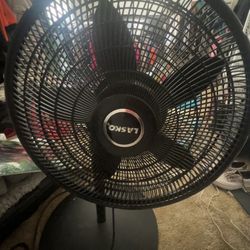 Lasko Fan 