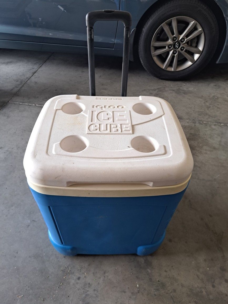 Cooler