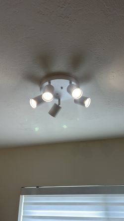 Ceiling Light