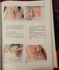 BASIC CLINICAL MASSAGE THERAPY: INTEGRATING  ANATOMY AND TREATMENT