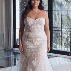 Plus Size Eddie K Wedding Gown Never Worn! 