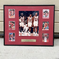 Chicago Bulls World  Champions NBA Records 72-10
