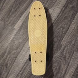 Penny Skateboard 