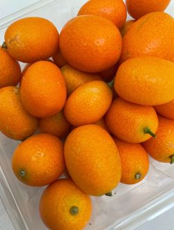 Nagami Kumquat Fruit Trees / Árboles De Naranjas Pequeñas $50 each