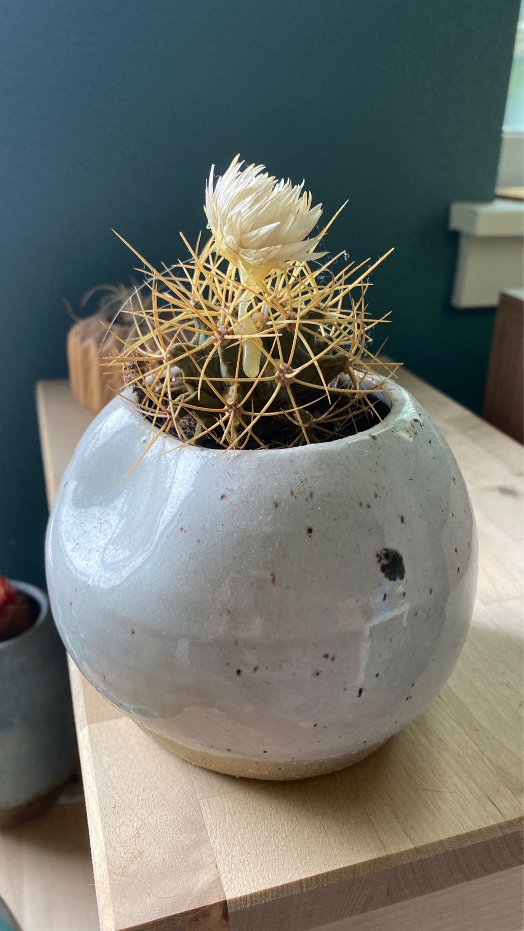 Cute Ceramic Hand made Plant pot - Pottery