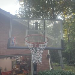 NBA themed basketball hoop (7-10ft)