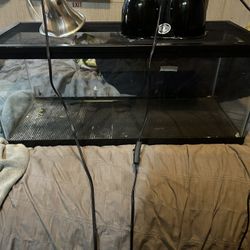 20 Gal Tank With Zoomed Double Dome Light Another Basking Lamp Like New 
