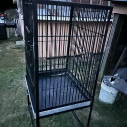 Large Birdcage