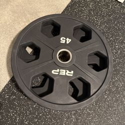 Pair Of 45 Lb Urethane Coated Plates From Rep Fitness