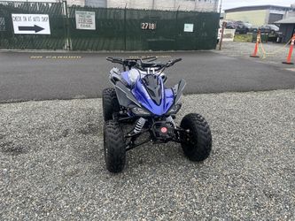 Brand New Maxi Wasp 200cc Atv