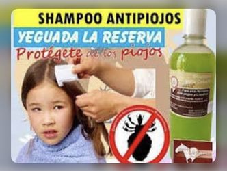 Shampoo Anti piojos /anti lice shampoo