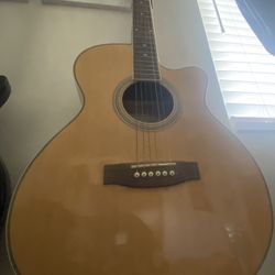 Davidson Acoustic/Electric