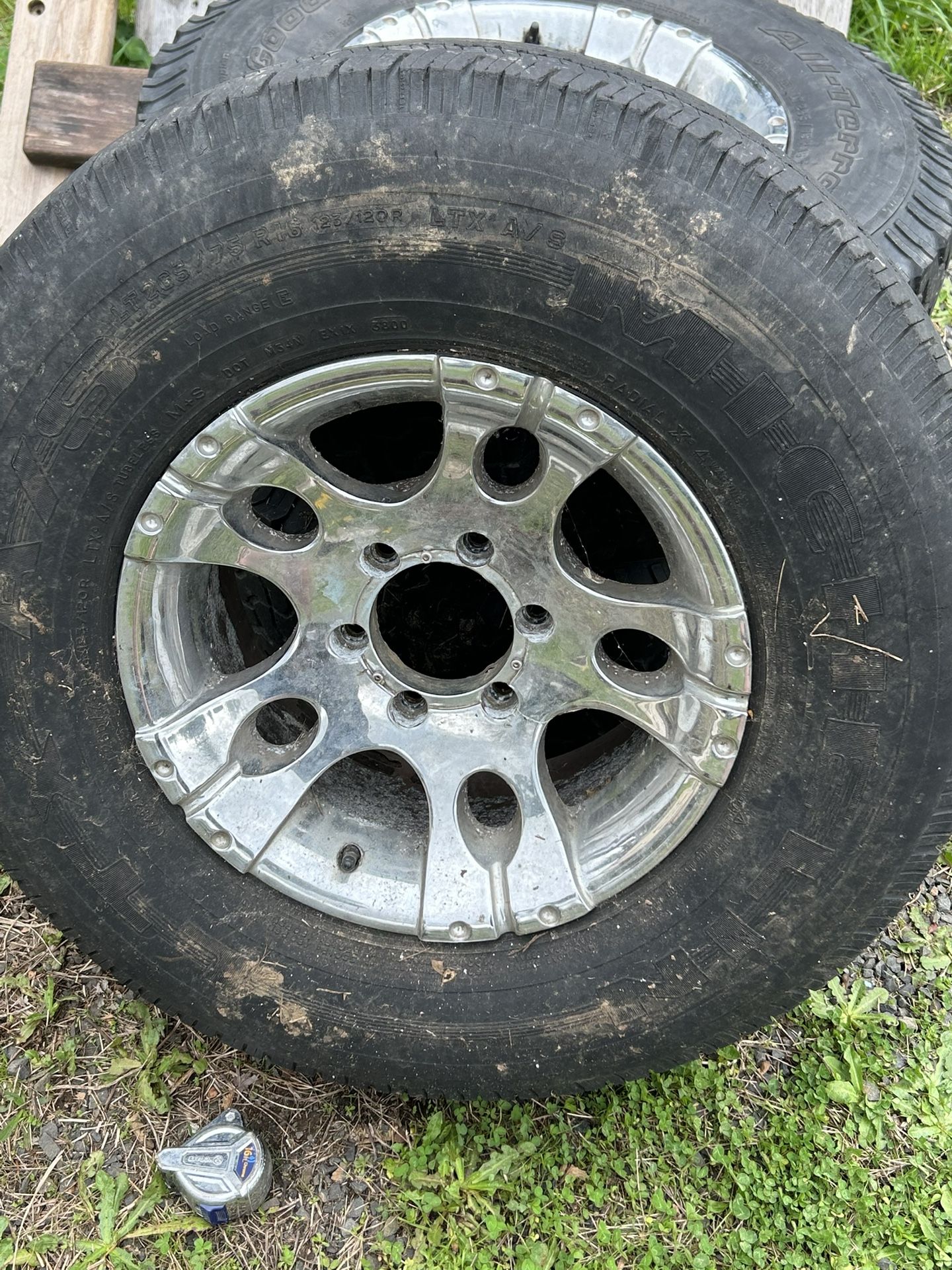 Need Gone