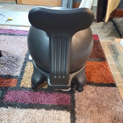 Balance Ball Chair