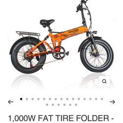 Electric Bike