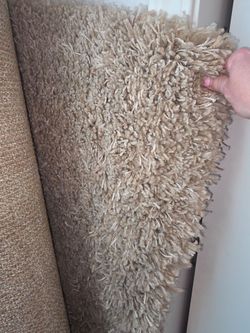 Shag rug carpet