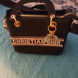 Hermoso Cartera Mini 