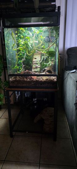Thrive Bio Active Reptile Tank