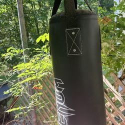 Venom Boxing Bag Gloves Included