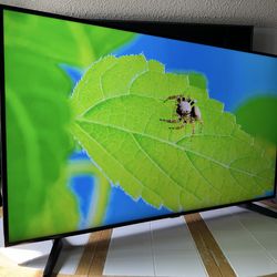 55 inch Samsung Smart TV