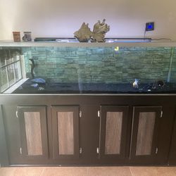 125 Gallon Tank N Stand