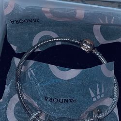 Limited Edition Pandora Harry Potter Bracelet 