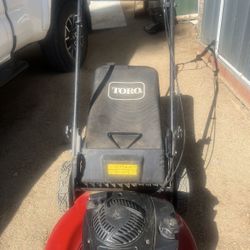 Máquina Cortadora De Sácate