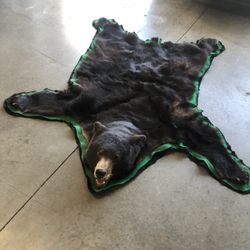 6’ Foot Black Bear