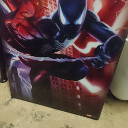 Spiderman 3 D Picture