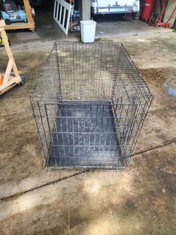 Dog Cage