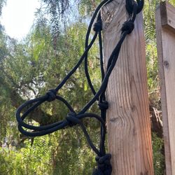 Stubben Saddle, Bareback Saddle,Halter