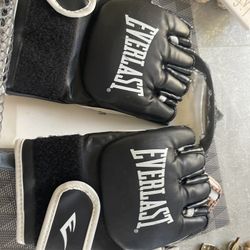Kickboxing Gloves 