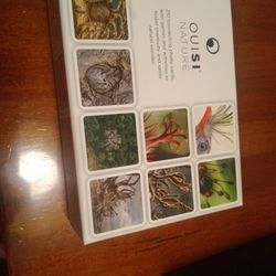 Ouisi Cards