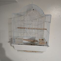 Bird Cage