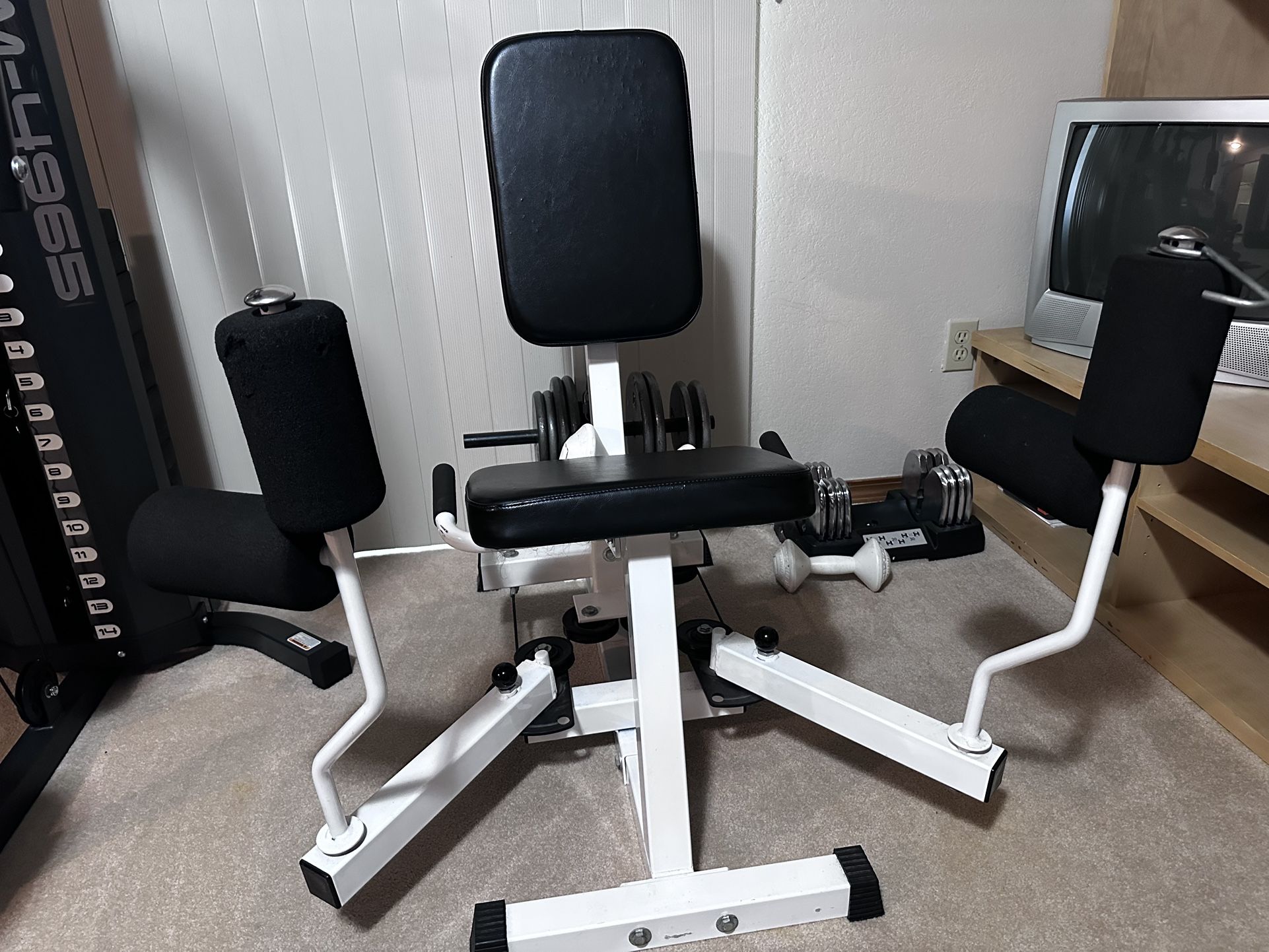 Parabody abductor/adductor machine with weights