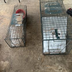 Rodent Traps