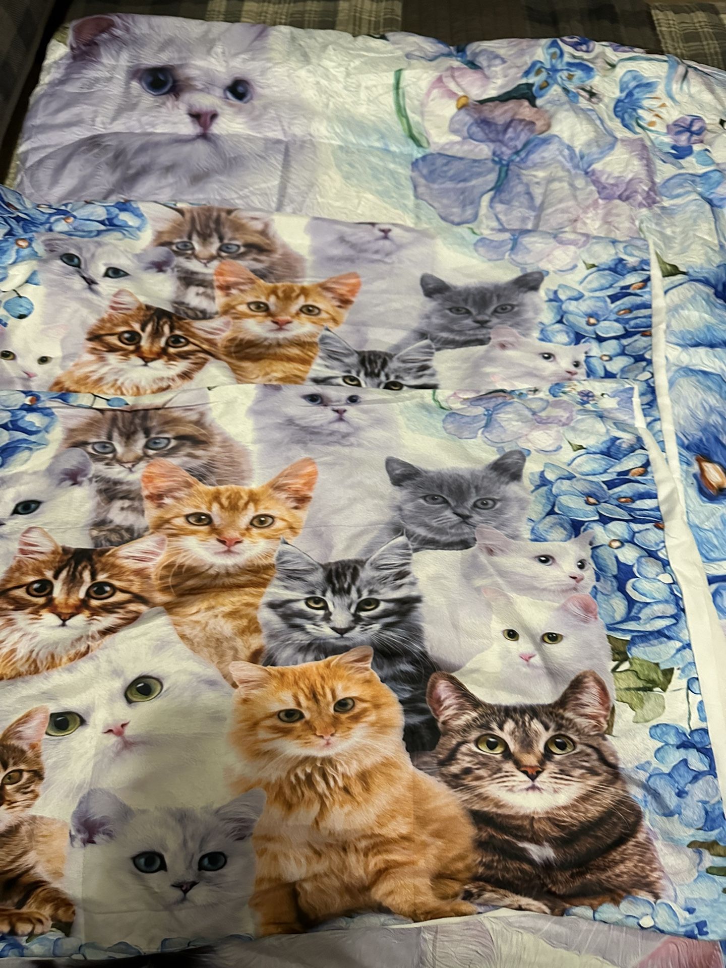 Cat Comforter