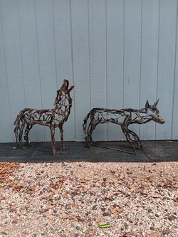 Coyote  metal