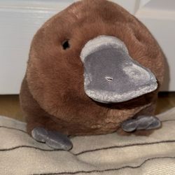 Platypus Plushie NEW San Diego Zoo 