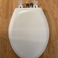 Toilet Bowl Lid.