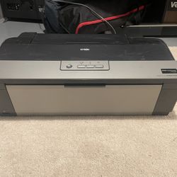 Epson Stylus Photo R1900