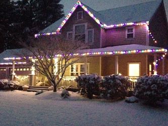 Free Outdoor Christmas lights