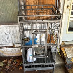 Bird Cage 