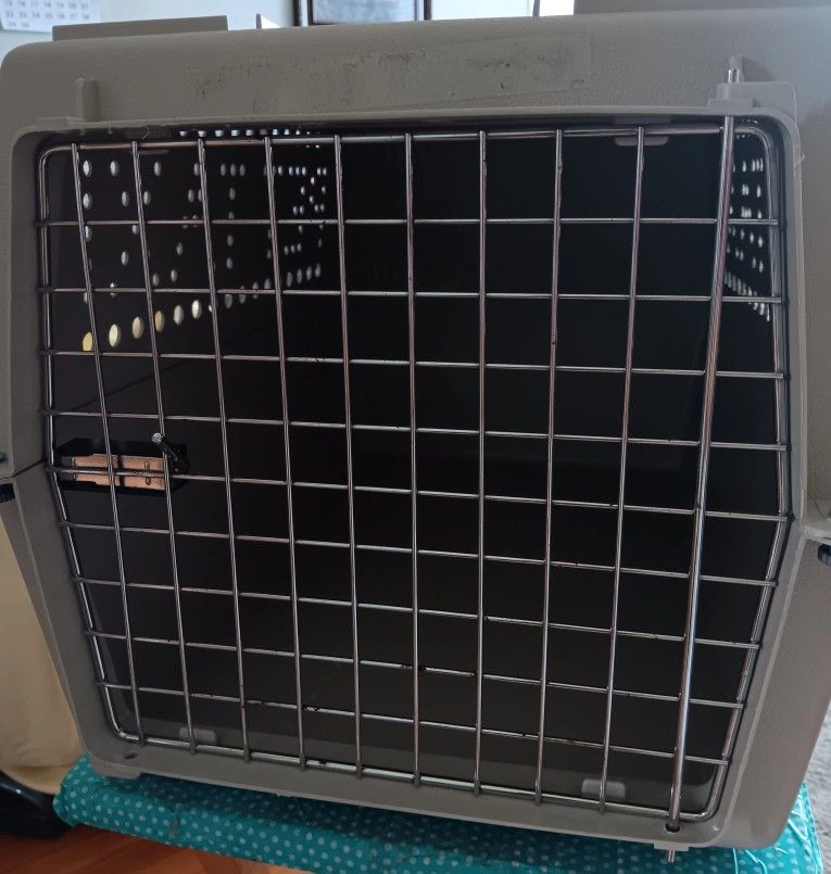 PET TAXI