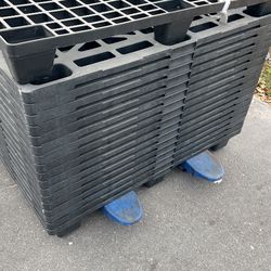 pallet plasticos 5 usd cada uno