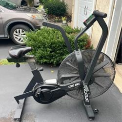 Rogue-Echo-Bike