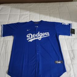 Dodgers Ohtani Signed Jersey