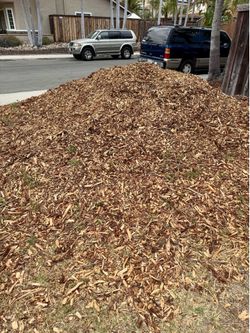 Free organic mulch/wood chips