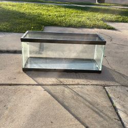 Glass Reptile/Fish Tank with Mesh Lid — Great Condition